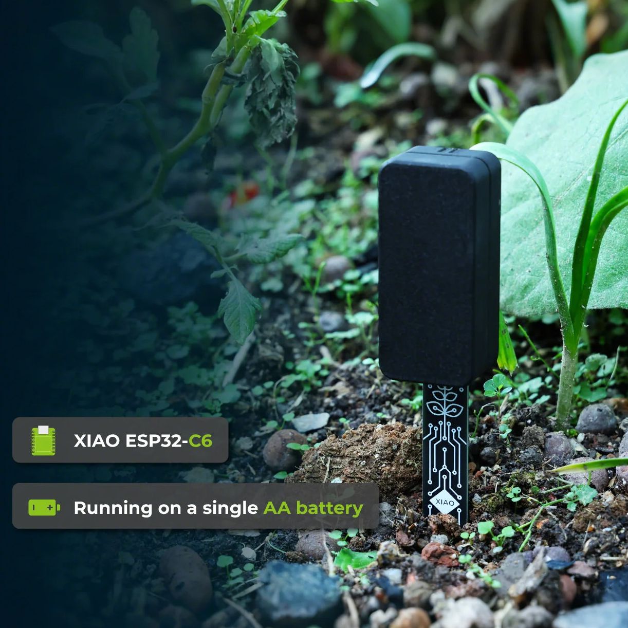 XIAO ESP32 C6 Soil Moisture Se - Home Automation Tutorial review and price
